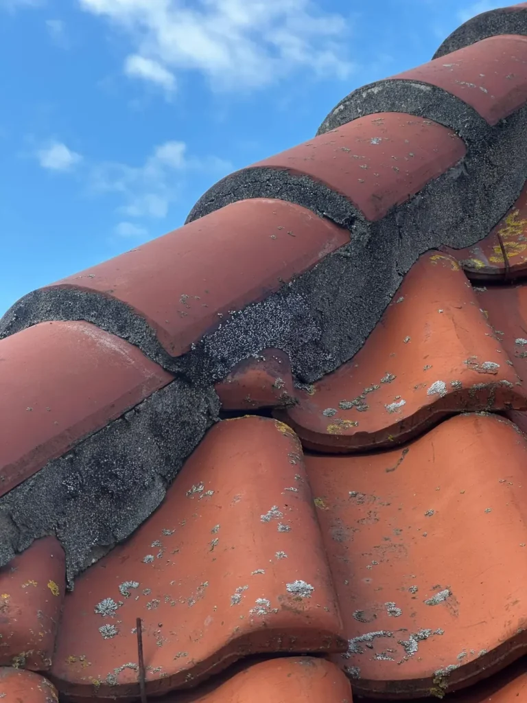 Rode nokvorsten met nieuwe donkere voegen tegen een blauwe lucht in Westzaan