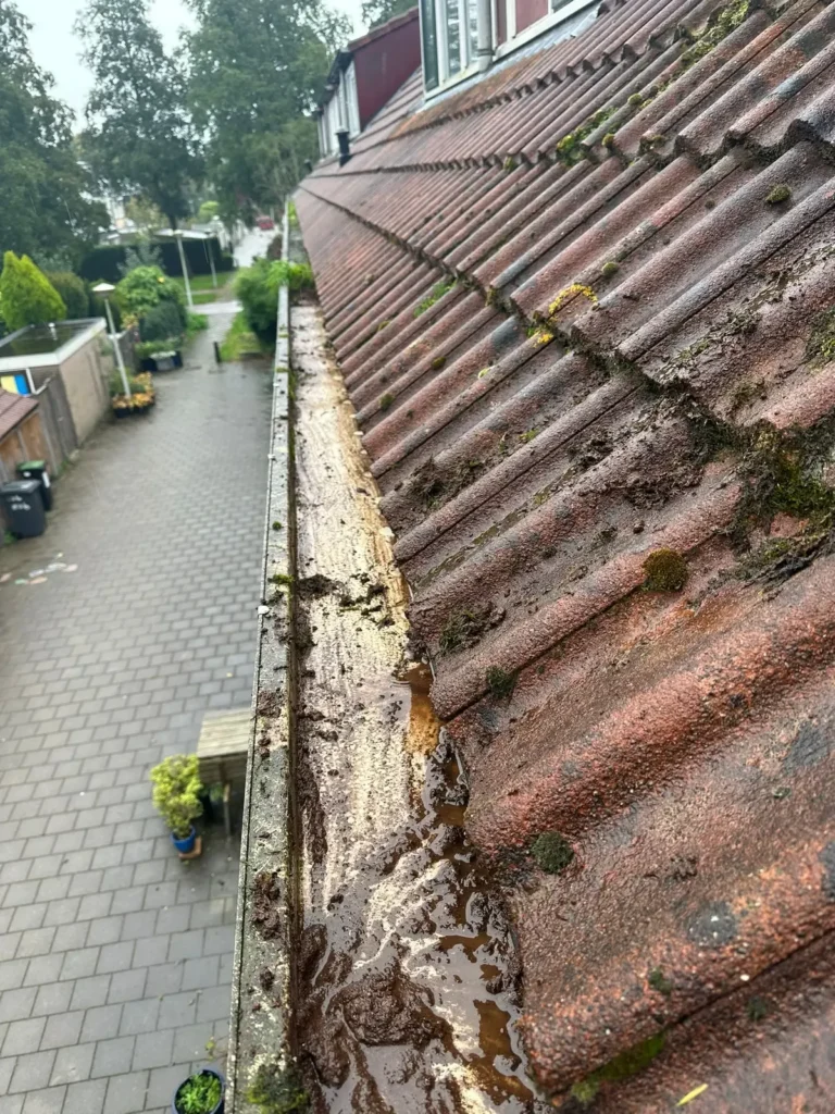 Dakgoot vol water en mos langs een rood pannendak van rijtjeshuizen in Westzaan