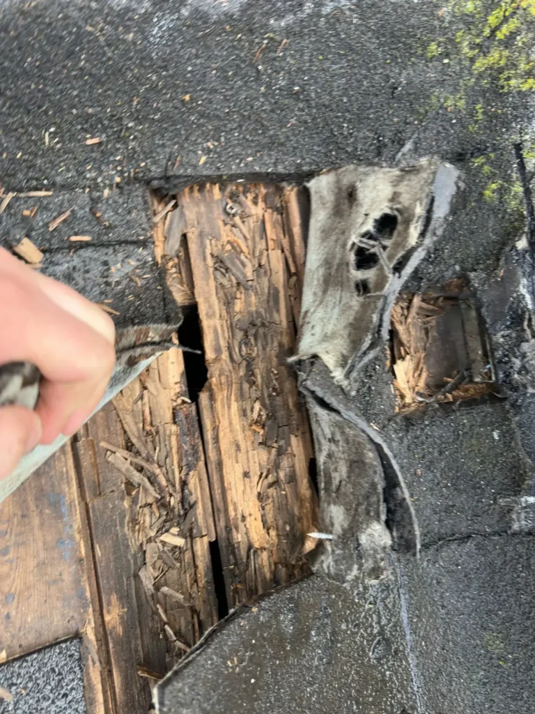 Verrot houten dakbeschot zichtbaar in een opengemaakt plat dak in Westzaan