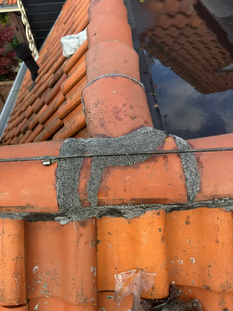 Herstelde nokvorsten op de hoek van een rood pannendak in Westzaan