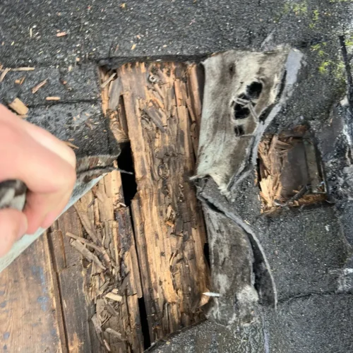 Verrot houten dakbeschot zichtbaar in een opengemaakt plat dak in Assendelft