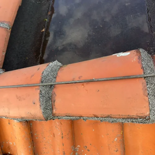 Rode nokvorsten met nieuwe mortelvoegen naast een plat dak met een plas water in Assendelft
