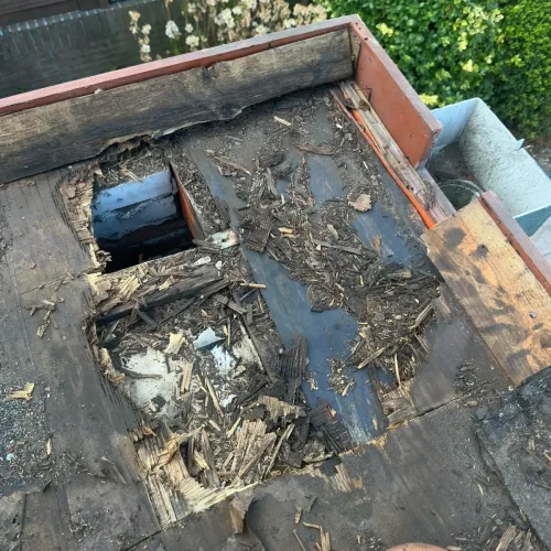 Gat in het verrotte dakbeschot van een plat dak met losse houtresten in Castricum