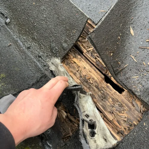 Hand wijst naar verrot hout onder losgesneden dakbedekking van een plat dak in Zaandam