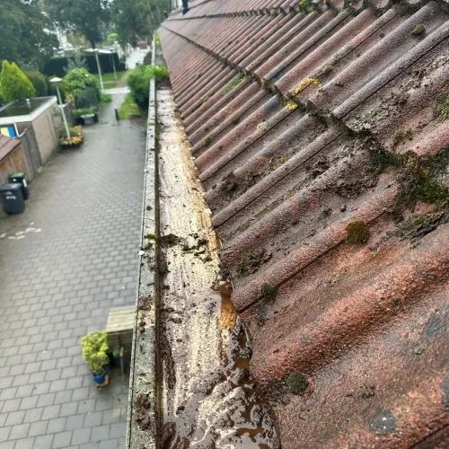 Dakgoot vol water en mos langs een rood pannendak van rijtjeshuizen in Zandvoort